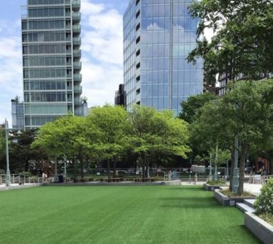 pier 46 lawn