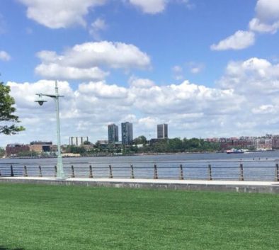 pier 46 lawn